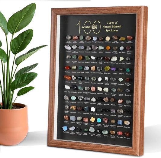 100 Pcs Crystals and Healing Stones Bulk Natural Mineral Specimen Display Case Polished Bright Color Chakra Stone Set Collection for Home Decoration and Gifting